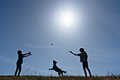 Silhouette von zwei Jungen (12-13) und einem Hund, die auf einer Wiese spielen