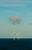 Offshore-Windpark auf der Nordsee