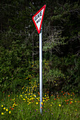 UK, Scotland, Give Way sign surrounded with colorful wildflowers