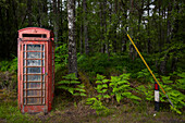 UK, Schottland, Verlassene rote Telefonzelle im Wald