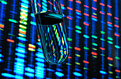 Reagenzglas mit beleuchteten genetischen Daten im Hintergrund