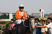 Ein Jockey auf einem Pferd auf der Rennbahn von Kalkutta während des St. Leger-Meetings im März; Kalkutta, Bundesstaat Westbengalen, Indien.