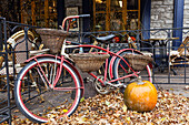 Fahrrad mit Korb, geparkt vor einer Restaurantterrasse mit einem Kürbis und gefallenen Herbstblättern auf dem Boden; Quebec City, Quebec, Kanada