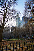 New Yorker Stadtbild mit Park und Gebäuden; New York City, New York, Vereinigte Staaten von Amerika