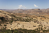 Blick auf Ackerland; Gheralta, Region Tigray, Äthiopien