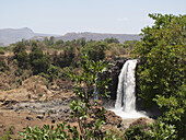 Blauer-Nil-Wasserfall Tississat, nahe Bahar Dar; Amhara-Region, Äthiopien.