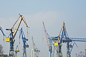 Numerous Cranes In The Smog Filled Sky; Hamburg, Germany