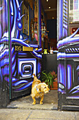 A Dog Stands In The Open Doorway Of A Shop, Portobello Road Market; London, England