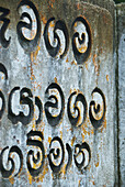 In Stein gehauene Schriftzeichen; Ulpotha, Embogama, Sri Lanka