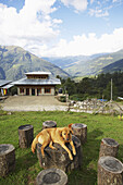 Ein fauler Hund sitzt vor einem Café; Bezirk Wangdue Phodrang, Bhutan