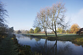 Wasserwiesen in der Morgendämmerung; Winchester, Hampshire, England