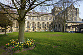 Winchester Cathedral; Winchester, Hampshire, England