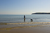 A Man And His Dog On Aberdaron Beach, Lleyn Peninsula; Wales