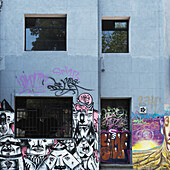 Graffiti und Kunstwerk auf Gebäude gemalt; Santiago, Metropolregion Santiago, Chile