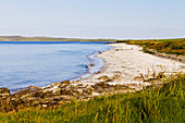 Bay Of Tafts; Orkney, Scotland