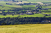 Gelbe und grüne Felder; North Yorkshire, England