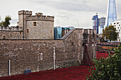 Menschenmengen versammeln sich am Tower of London, um die fast 900.000 Keramikmohnblumen zu sehen, die an die britischen und gemeinschaftlichen Kriegstoten des Ersten Weltkriegs erinnern, dessen Beginn sich 2014 zum 100. Mal jährte; London, England