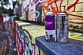 Spray Cans Used By Graffiti Artists, Leake Street; London, England