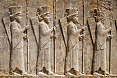 Bas Reliefs Of Persian Guards, Winter Palace Of Darius (Tashara); Persepolis, Iran