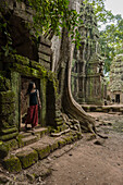 Ta Prohm, beeindruckender Tempel im Angkor-Gebiet, erbaut im zwölften Jahrhundert; Siem Reap, Kambodscha