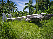 Wrack eines Ww11-Flugzeugs, in der Nähe von Kimbe; West New Britain, Papua-Neuguinea