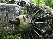 Ww11 Aircraft Wreck, Near Kimbe; West New Britain, Papua New Guinea