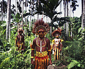 Mekeo Tribesmen In Traditional Attire; Central Province, Papua New Guinea