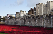 Ceramic Poppies At The Tower Of London's Moat To Mark The One Hundred Anniversary Of The First World War; London, England