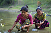 Chakma-Frauen reinigen Fische; Khagrachari, Chittagong Division, Bangladesch