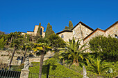 Kirche umgeben von üppigem Laub und Palmen; Lugano, Tessin, Schweiz
