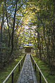 Langer Steinweg durch die Bäume, der zu einem japanischen Tempeltor führt; Kyoto, Japan