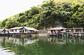 Stelzenhäuser in Kampung Ayapo, Sentani-See, Papua, Indonesien