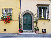 Dekorierte Fenster und Türen mit Blumen und Weinreben im Frühling; Lucca, Italien