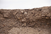 Skull Of Possible Mongol Victim; Konye Urgench, Turkmenistan