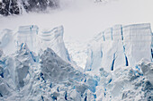 Gletscher kalbt in Paradise Harbor, Antarktische Halbinsel; Antarktis