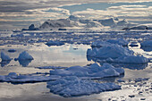 Icebergs In Front Of Neko Harbor, Antarctic Peninsula; Antarctica