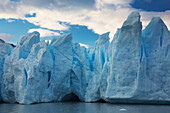 Endstation des Grey Glacier, Torres Del Paine National Park; Magallanes Region, Chile