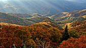Sonnenstrahlen über der Herbstlandschaft der Blue Ridge Mountains, gesehen vom Frying Pan Tower entlang des Blue Ridge Parkway bei Asheville; North Carolina, Vereinigte Staaten von Amerika.