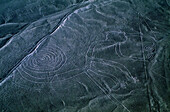 Mysteriöse Nazca-Linien bilden einen Affen in der Wüste von Südperu. Andere Tiere und geometrische Formen sind am besten aus der Luft zu sehen. Anthropologen glauben, dass die Nazca-Kultur, die sie schuf, um 100 v. Chr. begann und von 1 bis 700 n. Chr. blühte. Sie wurden mit hellem Sand hergestellt, als der oberste Fuß des Felsens von einer alten Kultur abgetragen wurde; Nazca, Peru