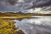 See im Lavafeld Berserkjahraun, in der Nähe von Stykkisholmur, Snaefellsnes, Westisland; Island