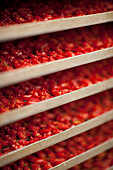 Nahaufnahme eines Stapels von Trockengestellen, gefüllt mit getrockneten Tomaten