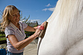 Reife Frau bürstet ein Pferd