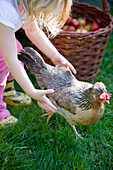 Junges Mädchen versucht, ein Huhn zu fangen