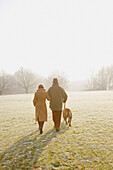 Rückenansicht eines reifen Paares, das mit einem Hund in einem frostigen Park spazieren geht