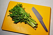 Still life celery and knife on orange cutting board