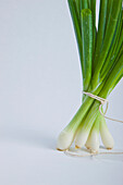 Bundle of Spring Onions Tied up with String