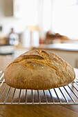 Farmhouse Bread on Rack