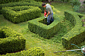 Gärtner schneidet eine Hecke in einem Labyrinth mit einer elektrischen Schere, Ansicht von oben