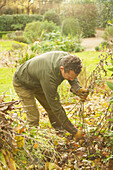 Gardener Cutting Weeds