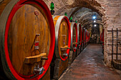 Blick auf Weinfässer im Keller der Cantina Ercolani, Weinhandlung und Museum in Montepulciano, Montepulciano, Provinz Siena, Toskana, Italien, Europa